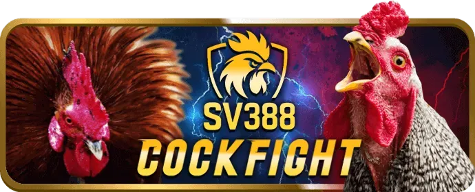 Lịch sử giao dịch best 88